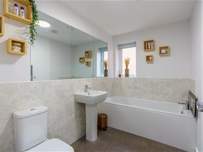 Picture 8